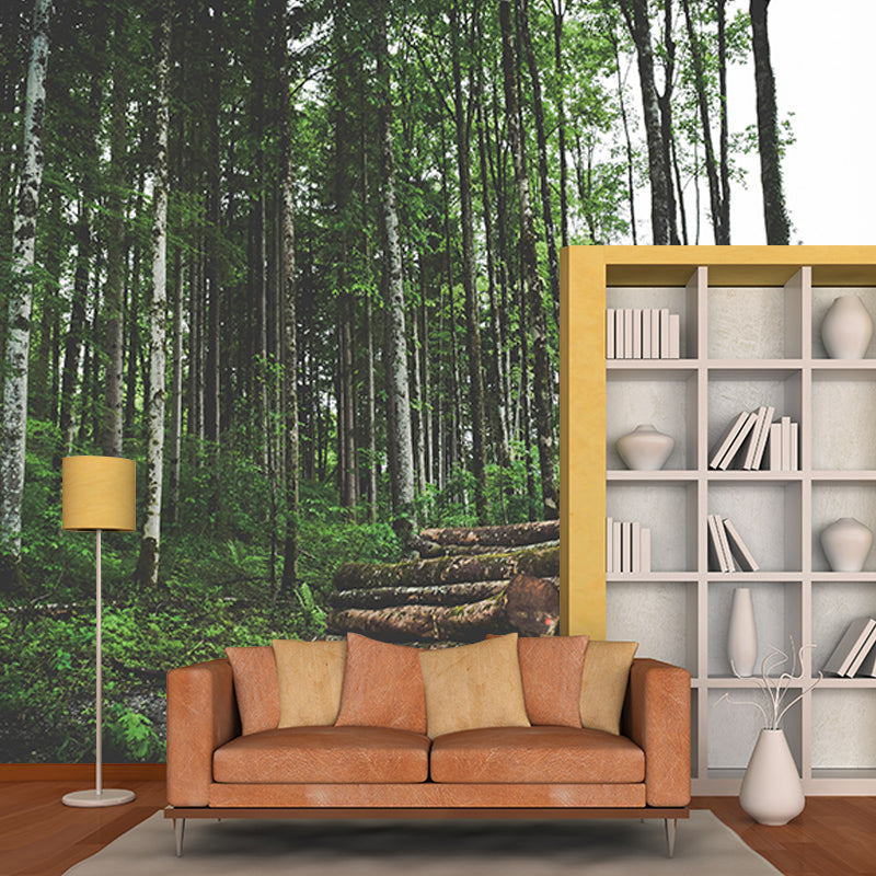 Beautiful Forest Mural Contemporary Photography Sleeping Room Wall Mural