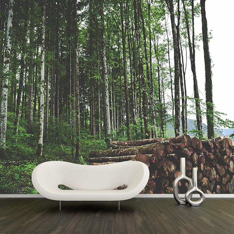 Beautiful Forest Mural Contemporary Photography Sleeping Room Wall Mural