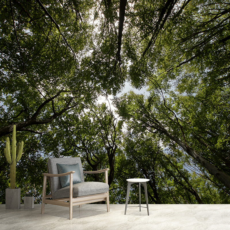Forest Mural Mildew Resistant Contemporary Photography Sitting Room Wall Mural