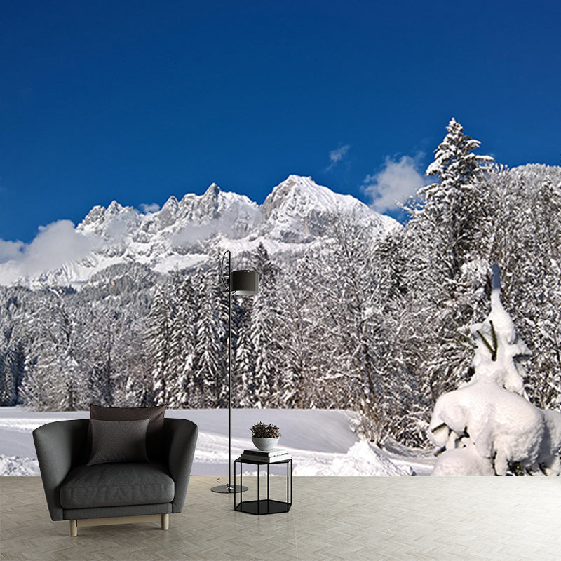 Forest Mural Mildew Resistant Contemporary Photography Sitting Room Wall Mural