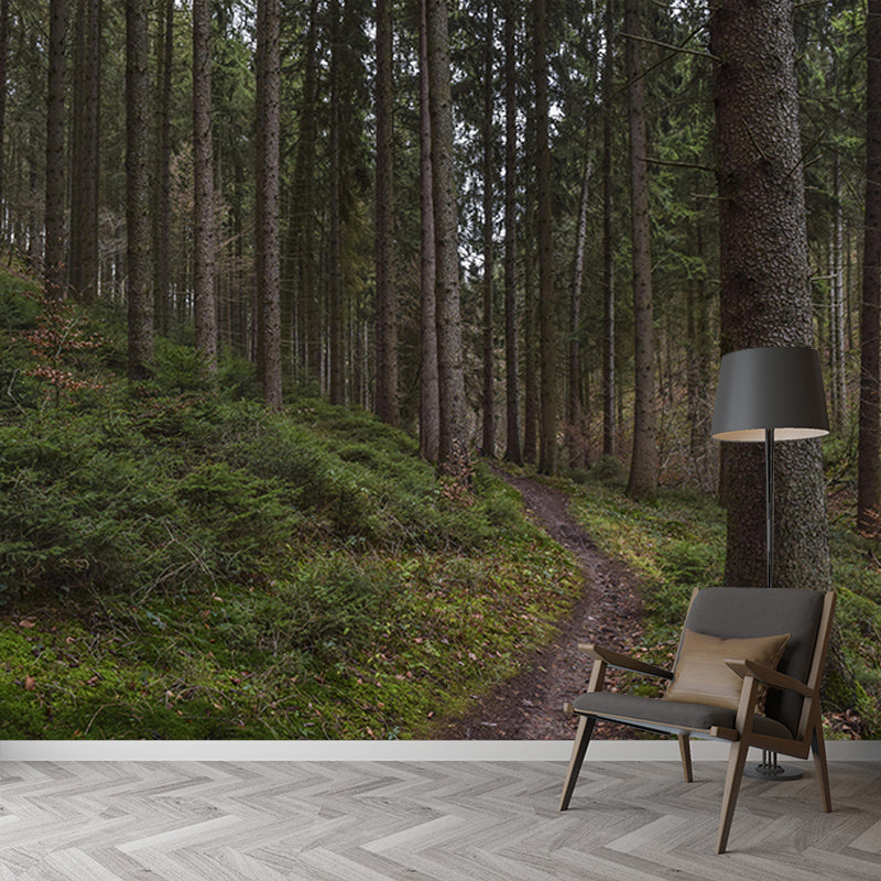 Forest Mural Customized Contemporary Photography Bedroom Wall Mural