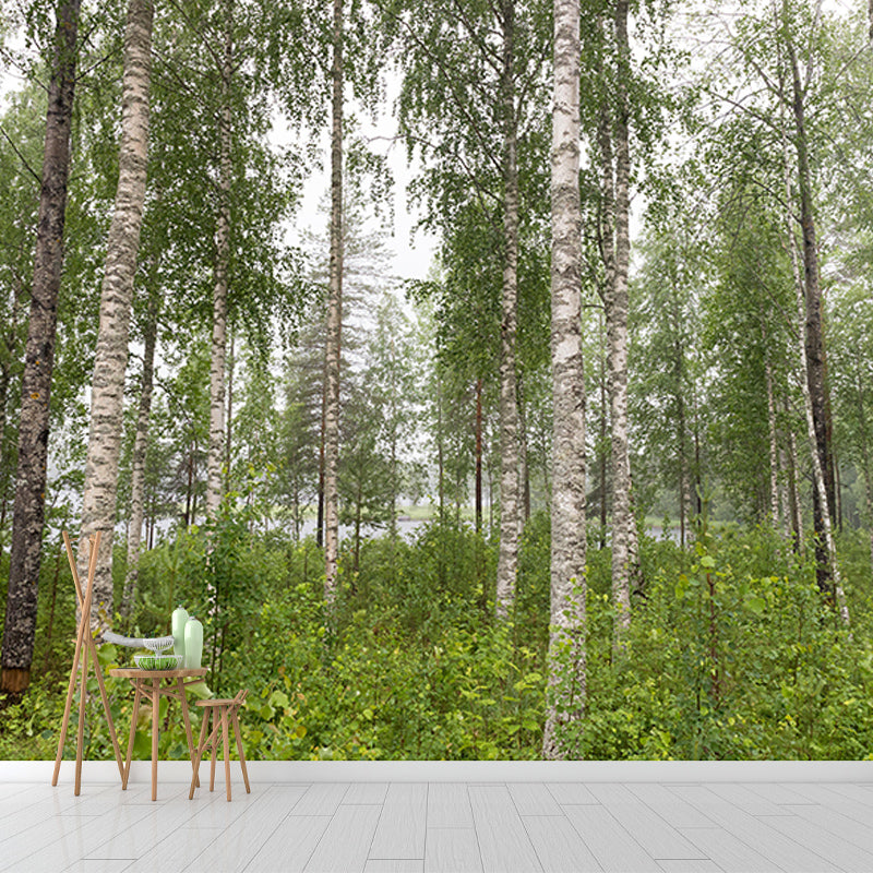 Natural Scene Mildew Resistant Forest Mural Contemporary Photography Room Wall Mural