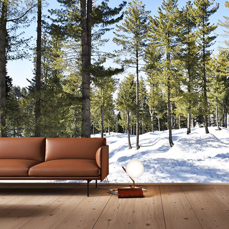 Natural Scene Mildew Resistant Forest Mural Contemporary Photography Room Wall Mural