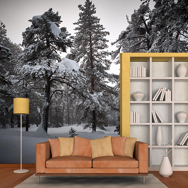 Contemporary Photography Eco-friendly Forest Mural Living Room Wall Mural