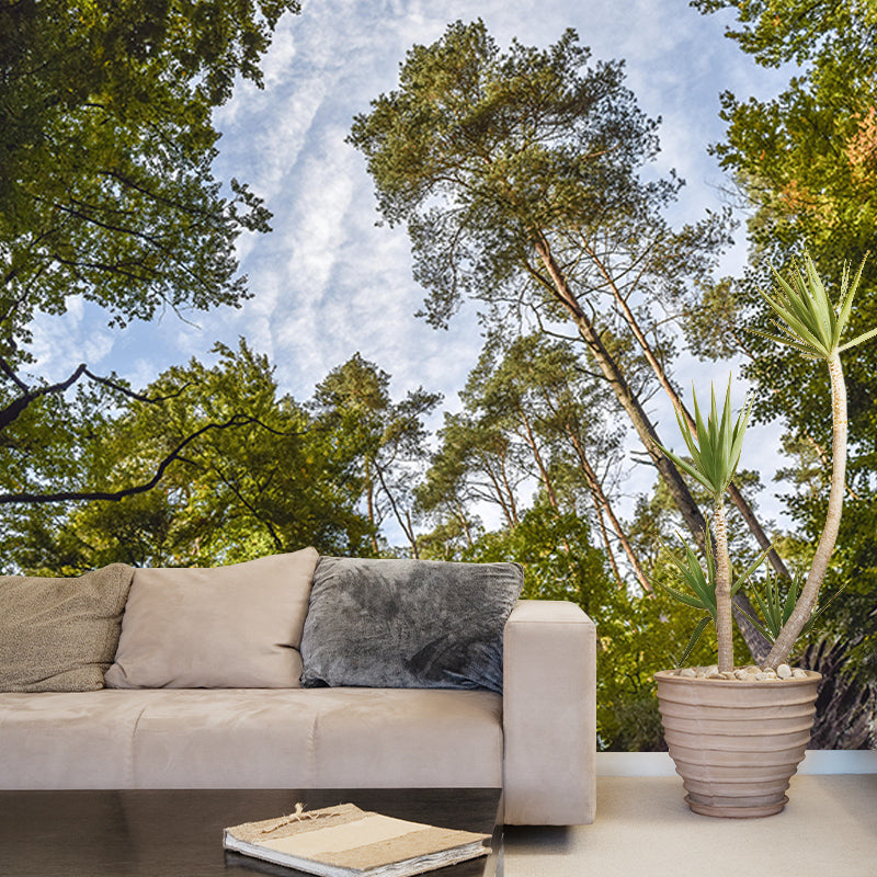 Contemporary Photography Eco-friendly Forest Mural Living Room Wall Mural