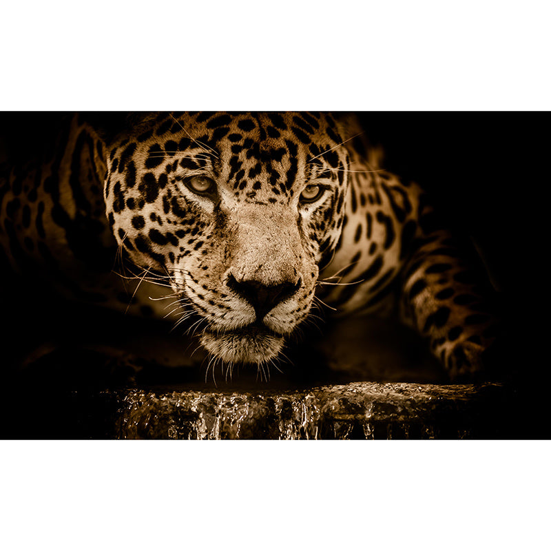 Wild Animal Mildew Resistant Mural Contemporary Sitting Room Wall Mural