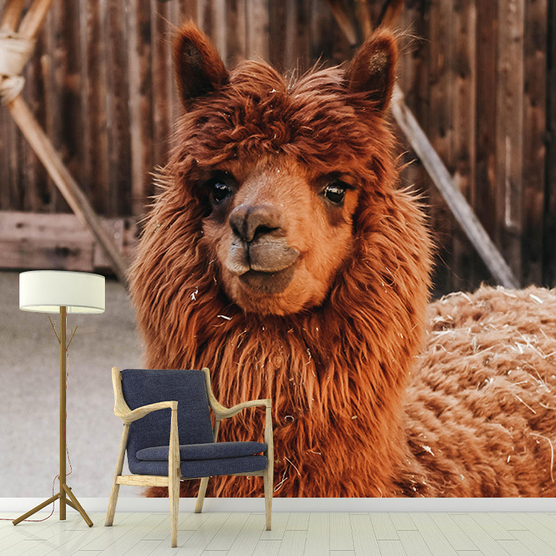 Customized Wild Animal Mural Contemporary Living Room Wall Mural