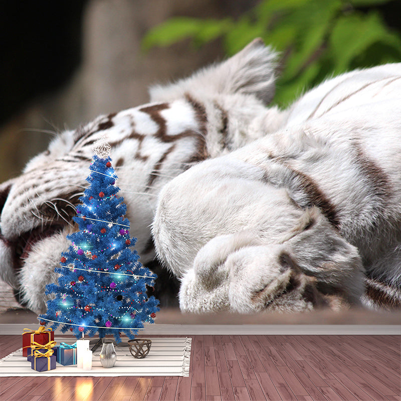 Zebra Mildew Resistant Wild Animal Mural Contemporary Photography Sleeping Room Wall Mural