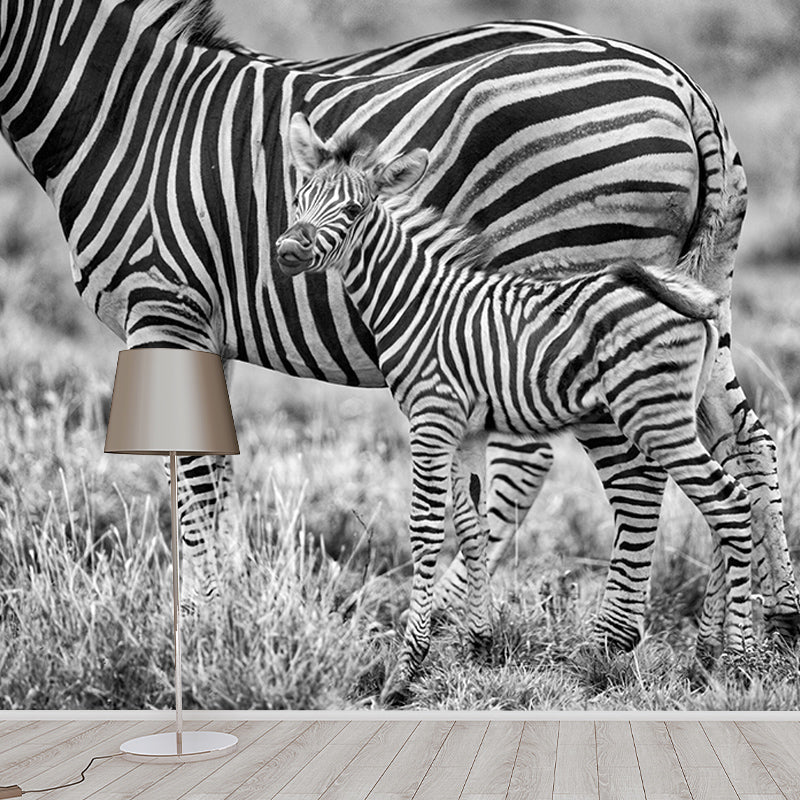 Zebra Mildew Resistant Wild Animal Mural Contemporary Photography Sleeping Room Wall Mural