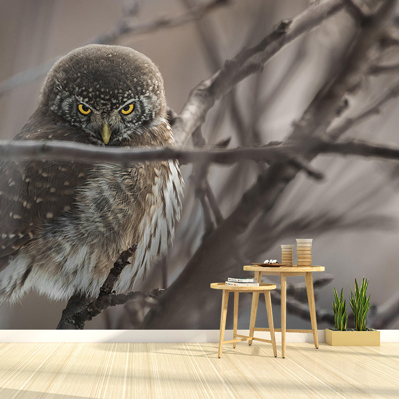 Environment Friendly Wild Animal Mural Contemporary Photography Sitting Room Wall Mural