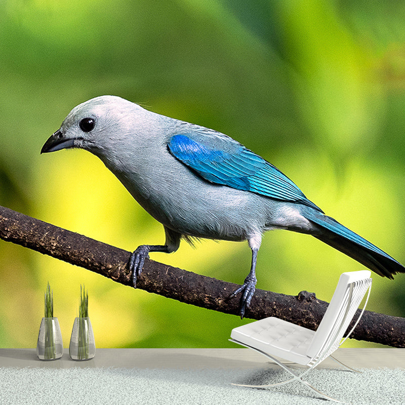 Bird Mildew Resistant Wild Animal Mural Contemporary Photography Bedroom Wall Mural