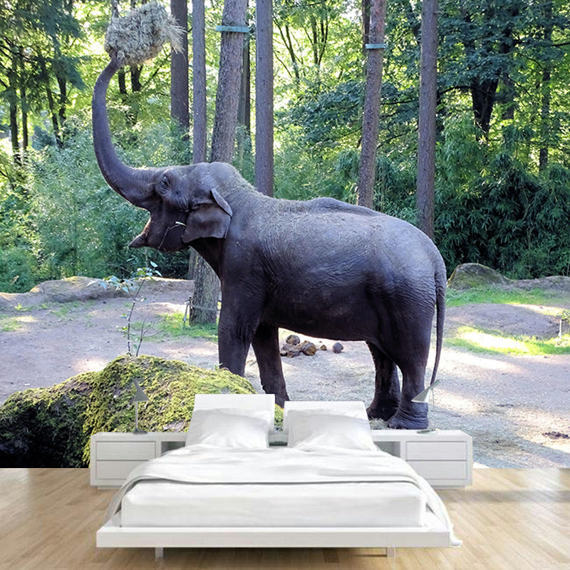 Bird Mildew Resistant Wild Animal Mural Contemporary Photography Bedroom Wall Mural