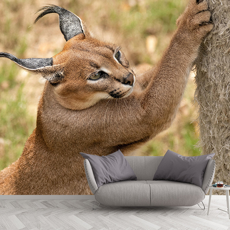 Environmental Wild Animal Mural Contemporary Photography Room Wall Mural