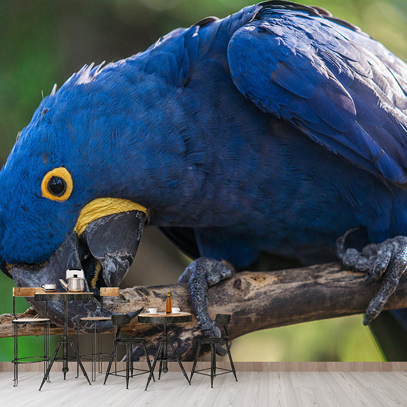 3D Wild Animal Mildew Resistant Mural Contemporary Photography Living Room Wall Mural