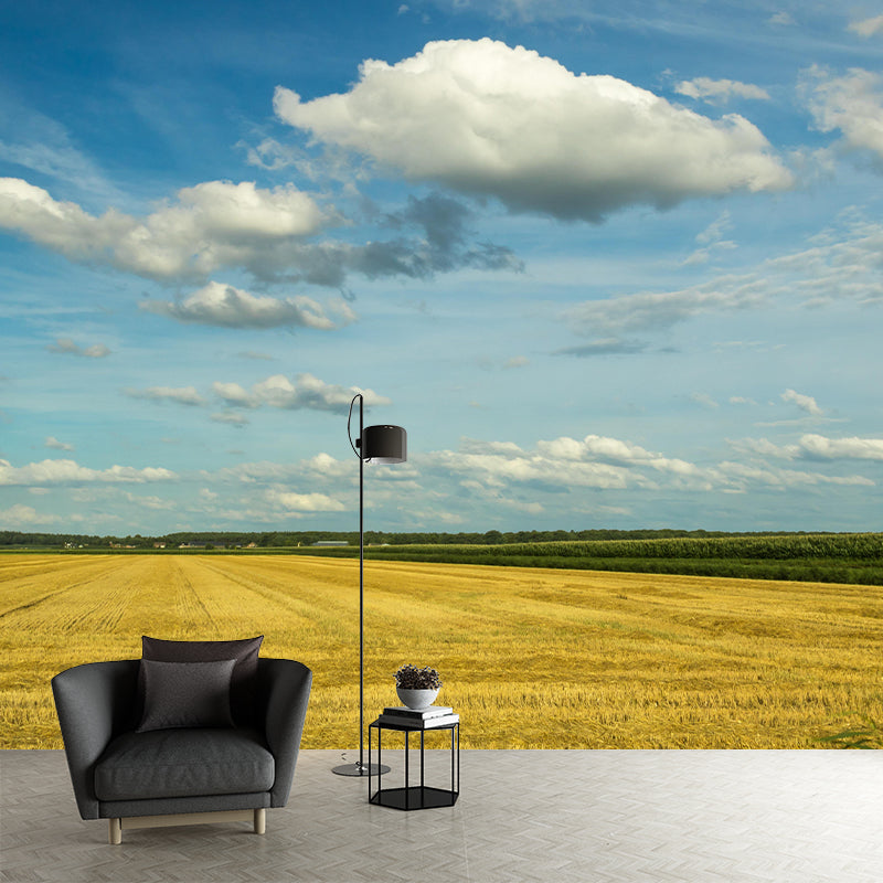 Clouds Landscapes Photography Wallpaper Mural Eco-friendly Wallpaper for Room