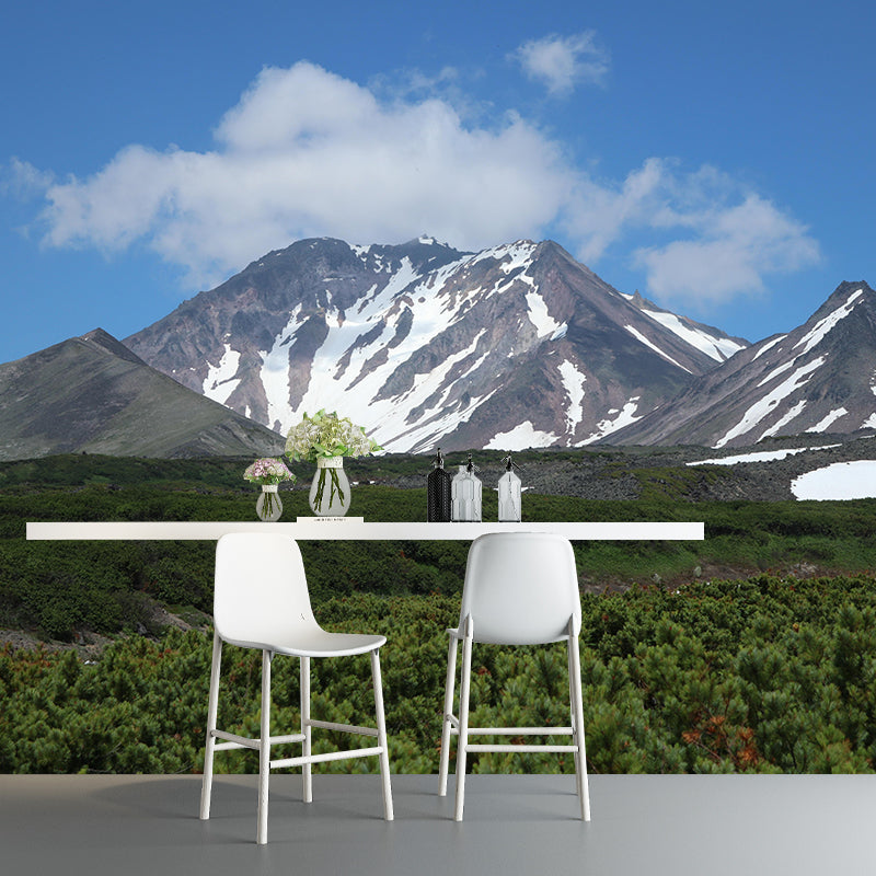 Forest Mountain Photography Landscapes Mural Eco-friendly Wallpaper for Wall Decor