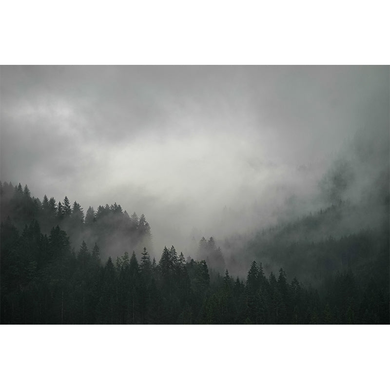 Photography Forest Landscapes Mural Eco-friendly Wallpaper for Home Decor