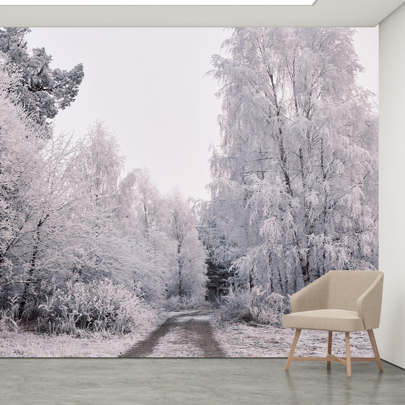 Photography Forest Landscapes Mural Eco-friendly Wallpaper for Room