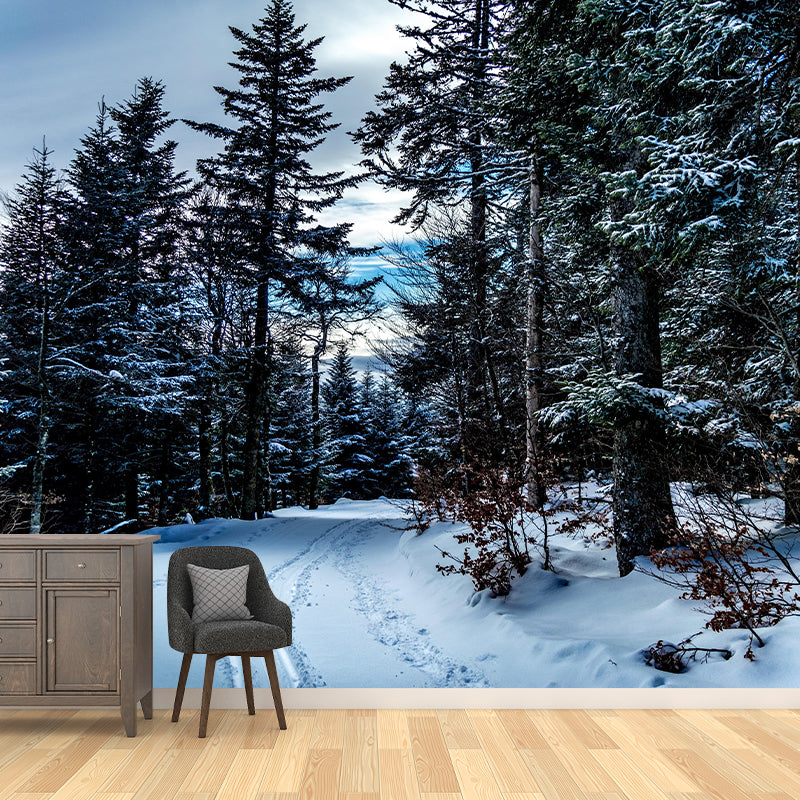 Horizontal Photography Forest Landscapes Mural Eco-friendly Wallpaper for Bedroom