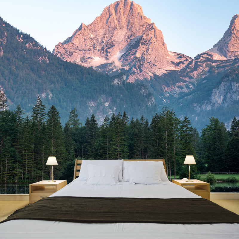 Horizontal Photography Forest Landscapes Mural Eco-friendly Wallpaper for Bedroom