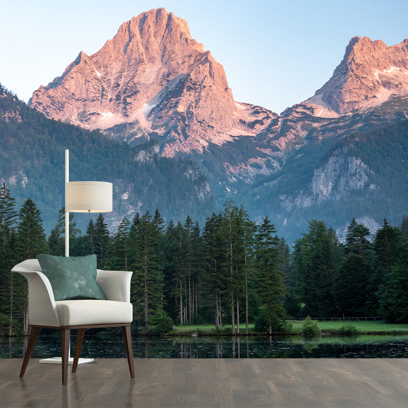 Horizontal Photography Forest Landscapes Mural Eco-friendly Wallpaper for Bedroom