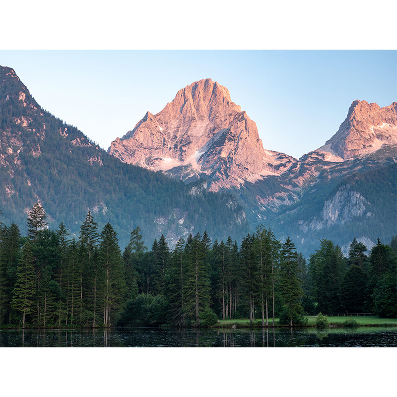 Horizontal Photography Forest Landscapes Mural Eco-friendly Wallpaper for Bedroom