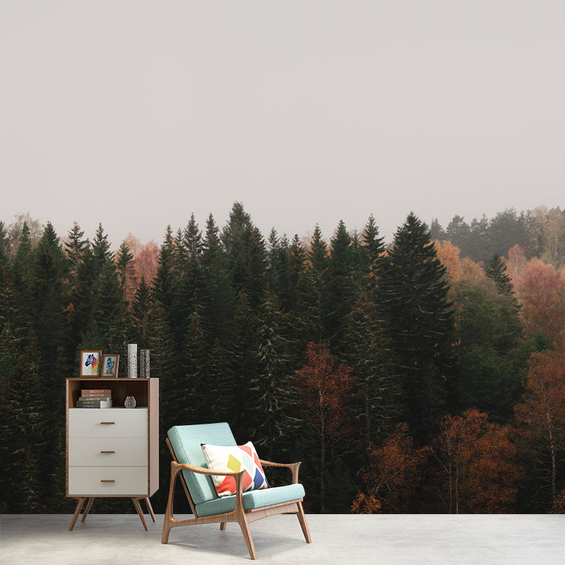 Horizontal Photography Forest Landscapes Mural Eco-friendly Wallpaper for Bedroom