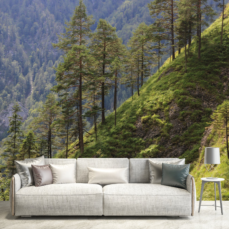 Eco-friendly Photography Forest Landscapes Mural Wallpaper for Decoration