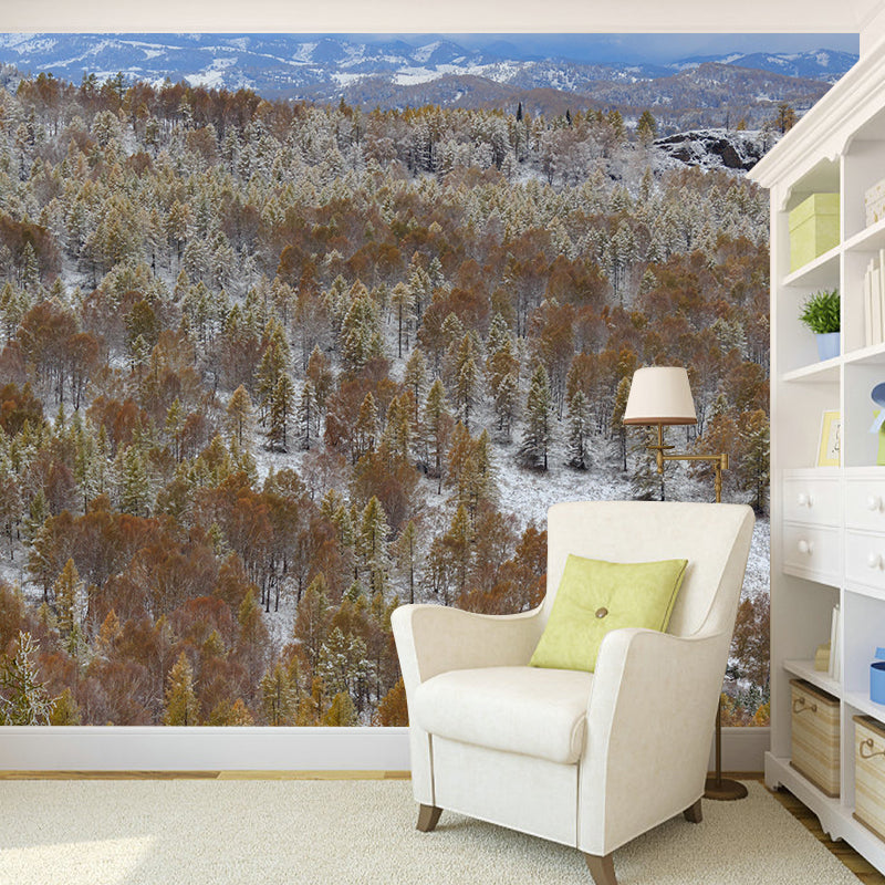 Eco-friendly Photography Forest Landscapes Mural Wallpaper for Decoration