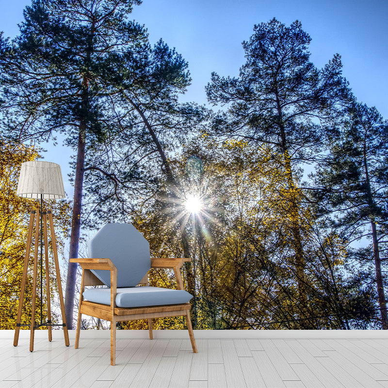 Eco-friendly Photography Forest Landscapes Mural Wallpaper for Decoration