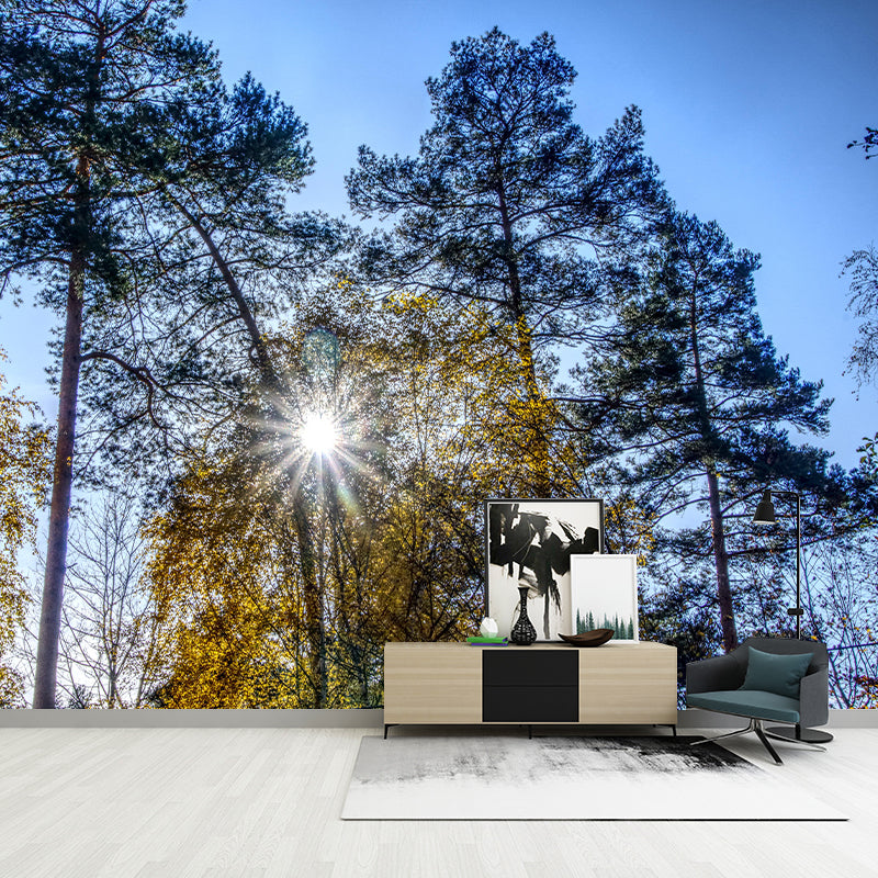 Eco-friendly Photography Forest Landscapes Mural Wallpaper for Decoration