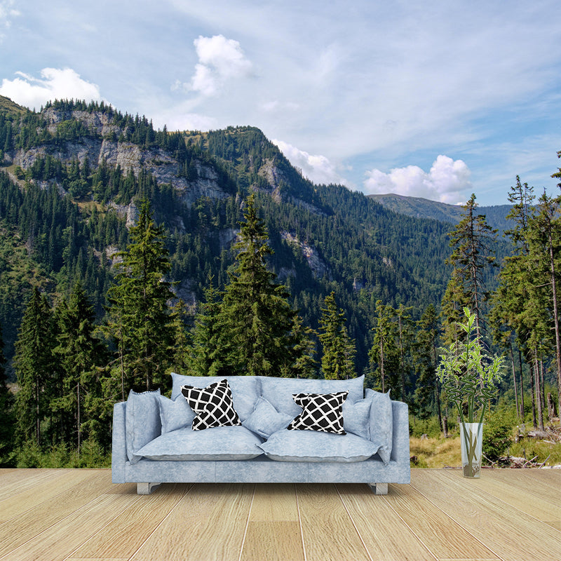 Eco-friendly Forest Landscapes Mural Photography Wallpaper for Home