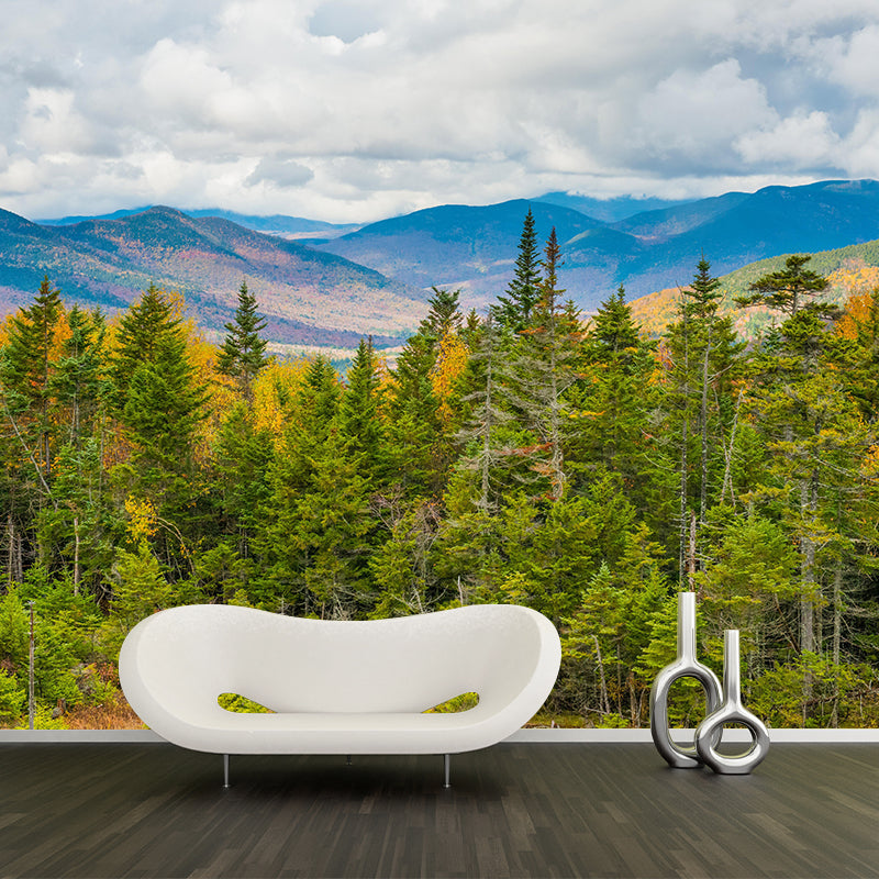 Eco-friendly Forest Landscapes Mural Photography Wallpaper for Home