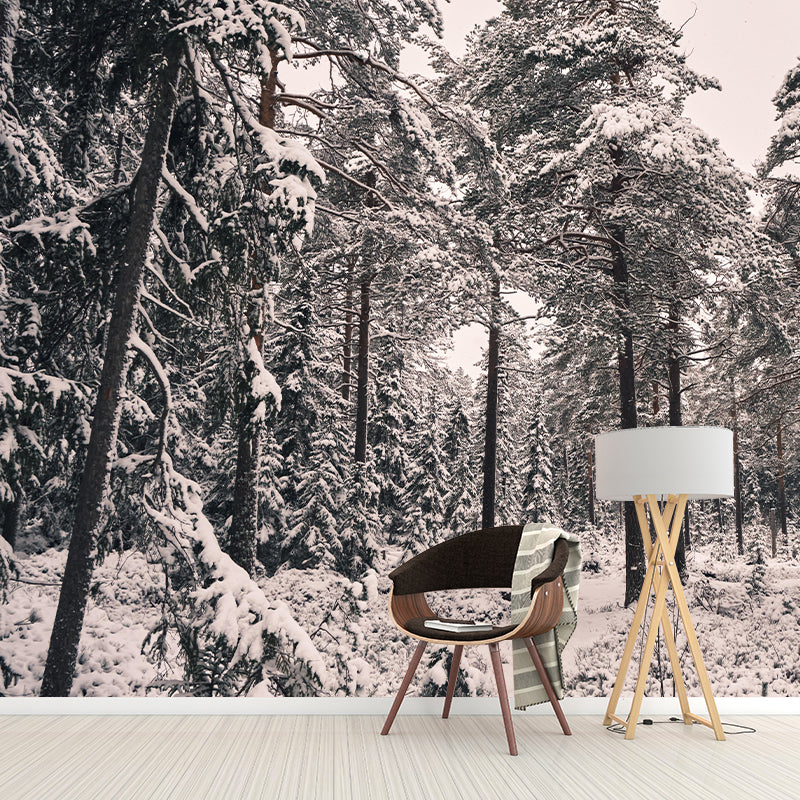 Horizontal Photography Forest Landscapes Mural Eco-friendly Wallpaper for Home Decor