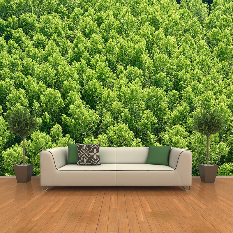 Horizontal Photography Forest Landscapes Mural Eco-friendly Wallpaper for Home Decor