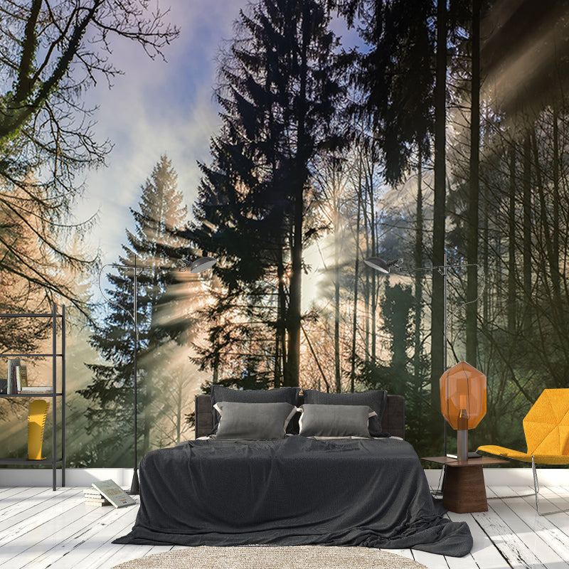 Eco-friendly Wall Mural Wallpaper Forest Sitting Room Wall Mural