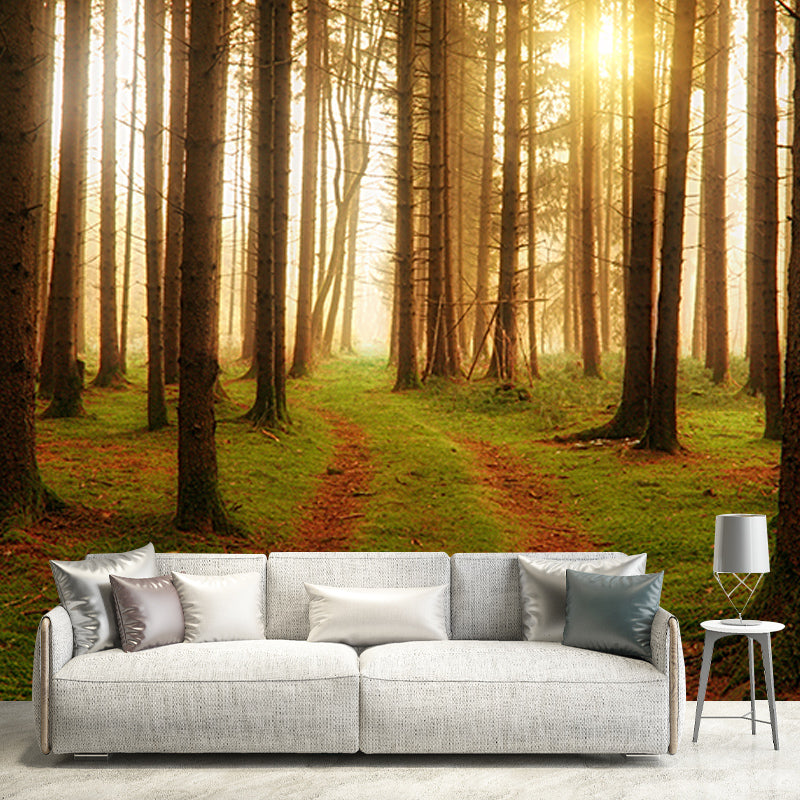 Eco-friendly Wall Mural Wallpaper Forest Sitting Room Wall Mural