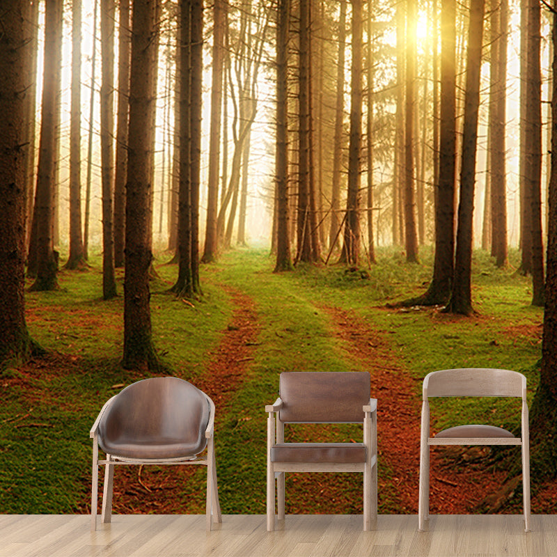 Eco-friendly Wall Mural Wallpaper Forest Sitting Room Wall Mural