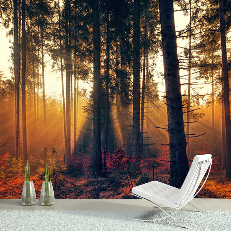 Forest Mildew Resistant Mural Wallpaper Sleeping Room Wall Mural