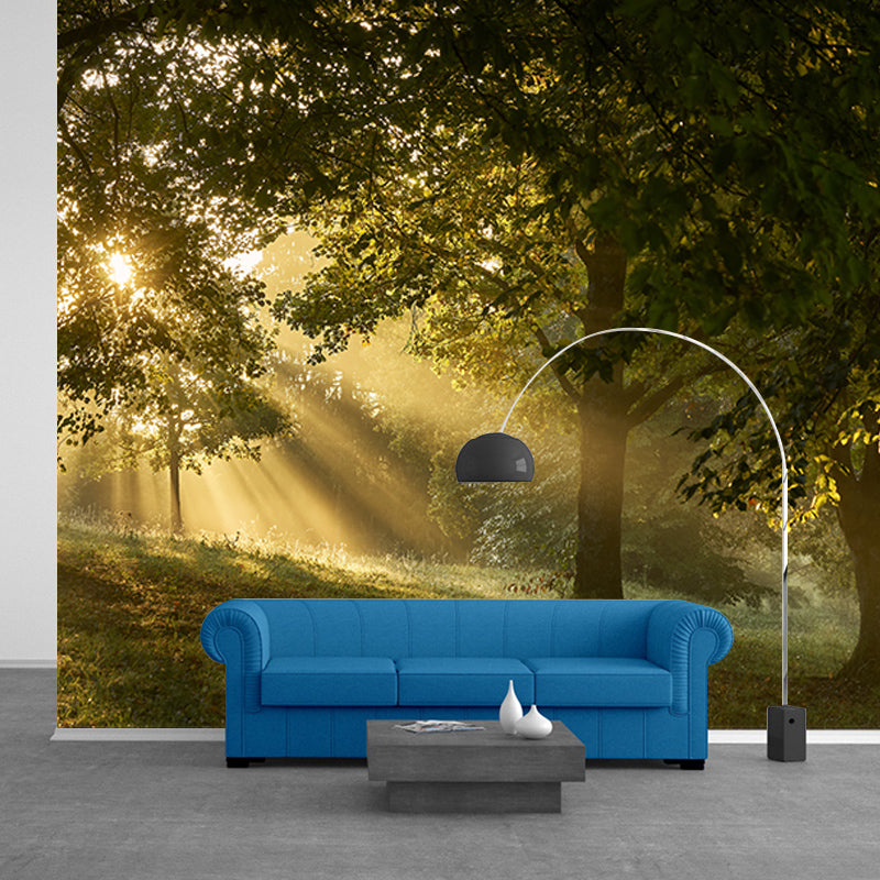 Beautiful Photography Mural Wallpaper Forest Indoor Wall Mural