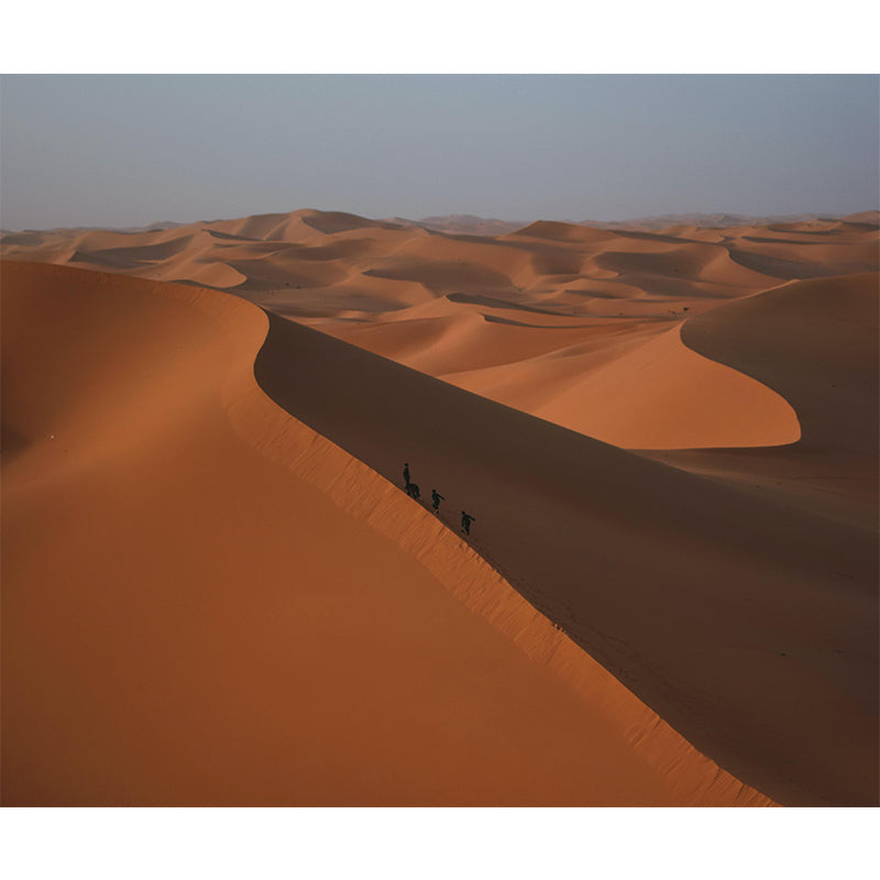 Endless Desert Mildew Resistant Wall Wallpaper Room Wall Mural