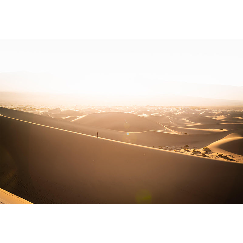 Vivid Mildew Resistant Wall Huge Desert Wallpaper Sitting Room Wall Mural