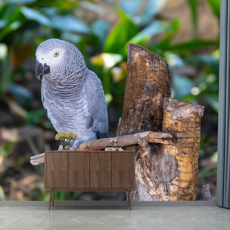 Parrot Print Mildew Resistant Wall Mural Wild Animal Wallpaper Sleeping Room Wall Mural