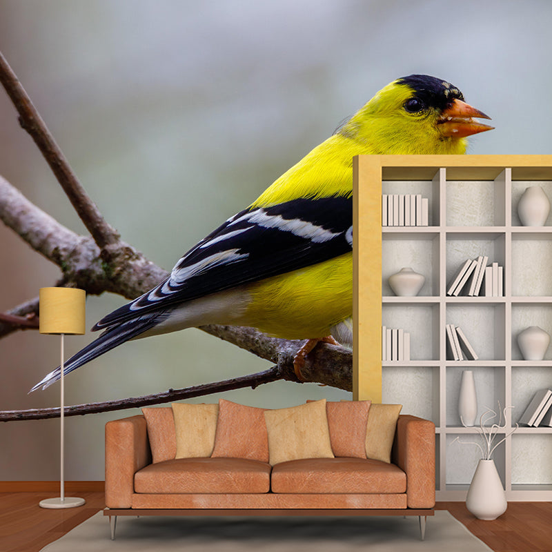Bird Mildew Resistant Wall Mural Wild Animal Wallpaper Sitting Room Wall Mural