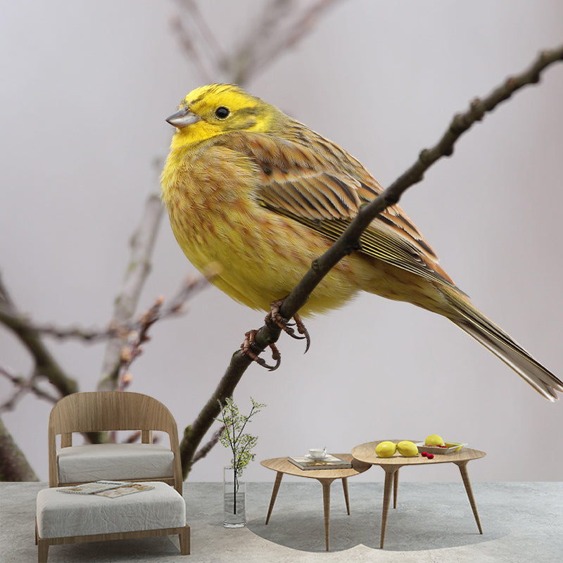 Vivd Wild Animal Mildew Resistant Wall Mural Wallpaper Study Room Wall Mural