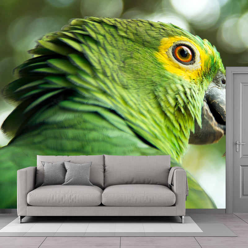 Vivd Wild Animal Mildew Resistant Wall Mural Wallpaper Study Room Wall Mural