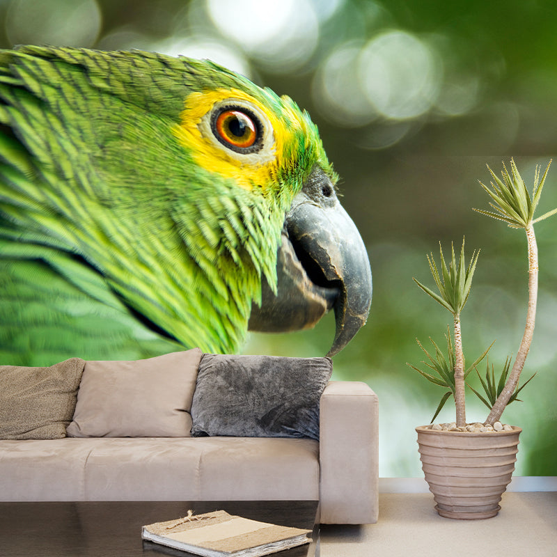 Vivd Wild Animal Mildew Resistant Wall Mural Wallpaper Study Room Wall Mural