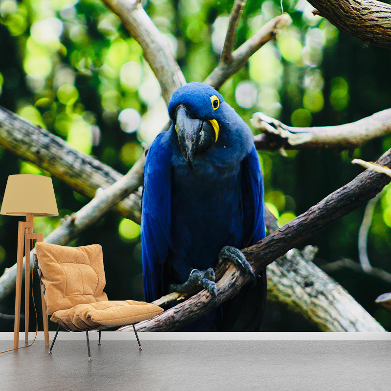 Bird Print Mildew Resistant Wall Mural Wild Animal Wallpaper Room Wall Mural