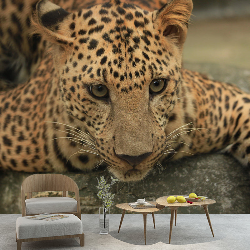 Leopard Mildew Resistant Wall Mural Wild Animal Wallpaper Living Room Wall Mural