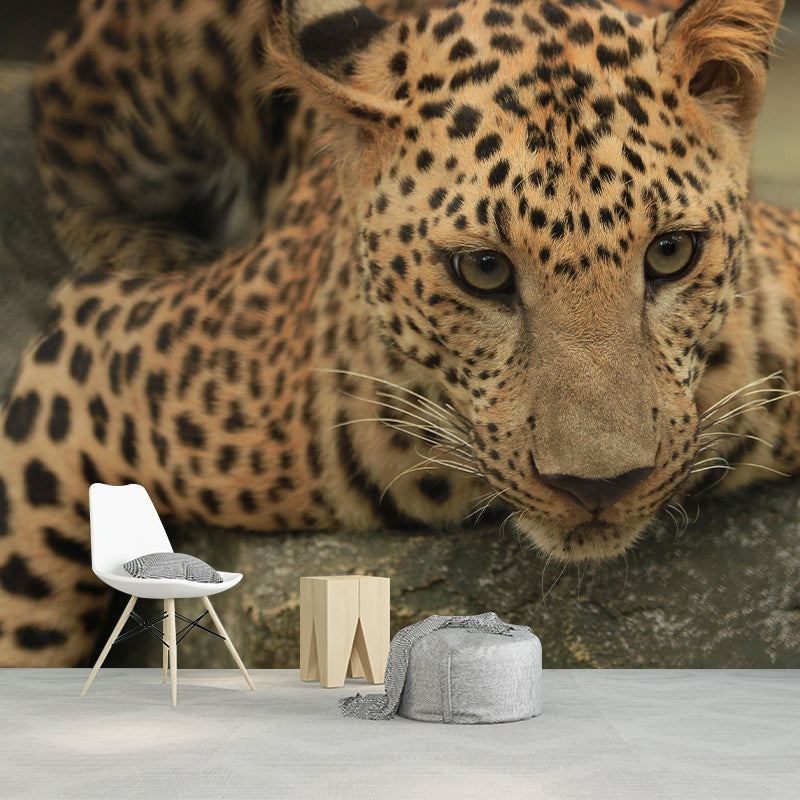Leopard Mildew Resistant Wall Mural Wild Animal Wallpaper Living Room Wall Mural